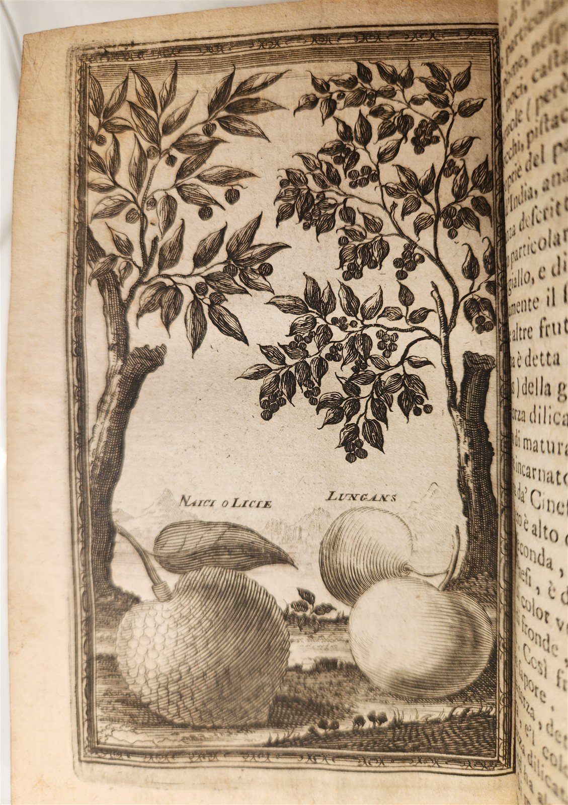 1721 TRAVELS to CHINA by Gio. Gemelli ILLUSTRATED antique VELLUM BINDING