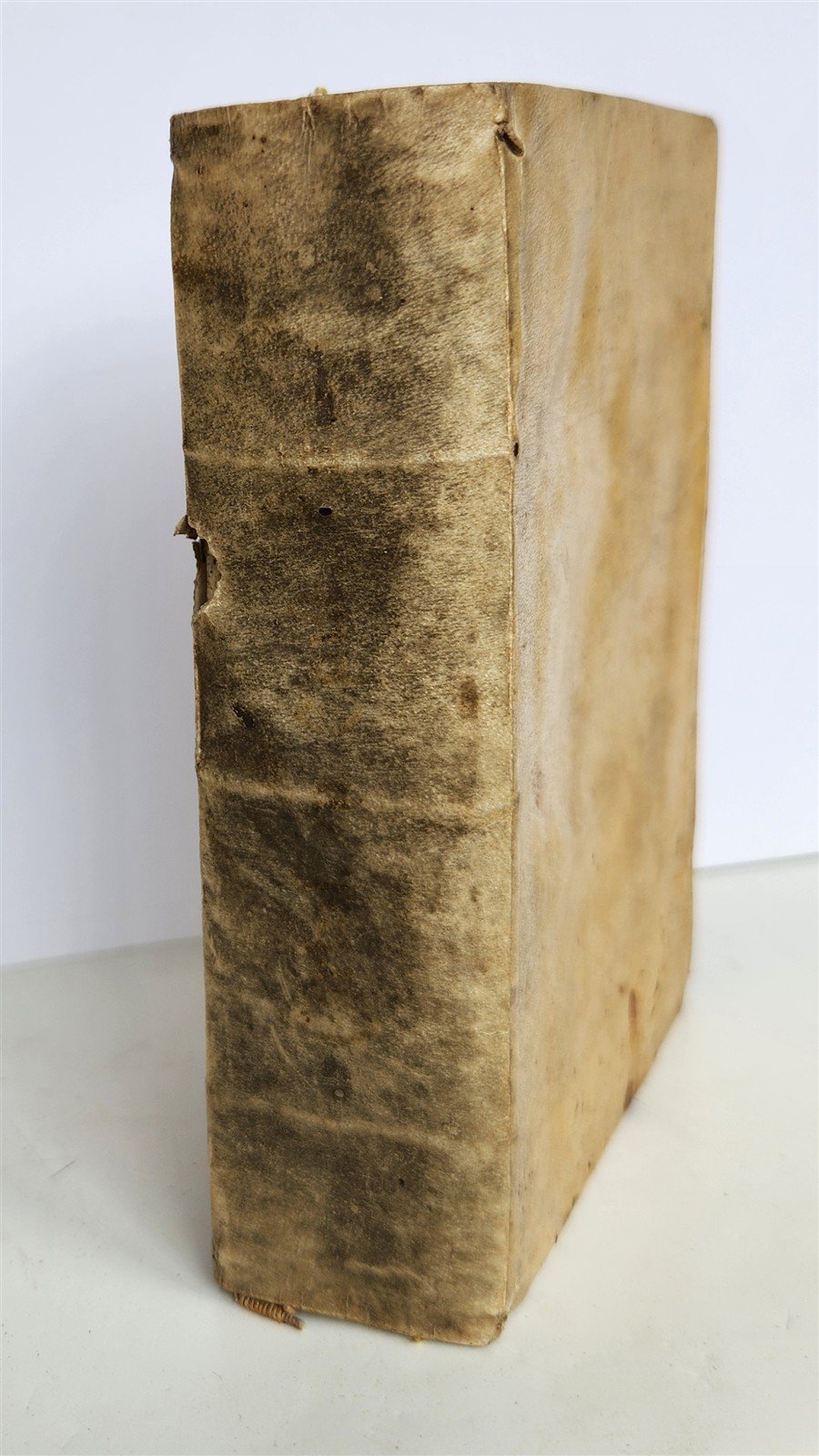 1555 BIBLE COMMENTARY by Dionysius Carthusianus antique VELLUM BINDING 16th CEN.