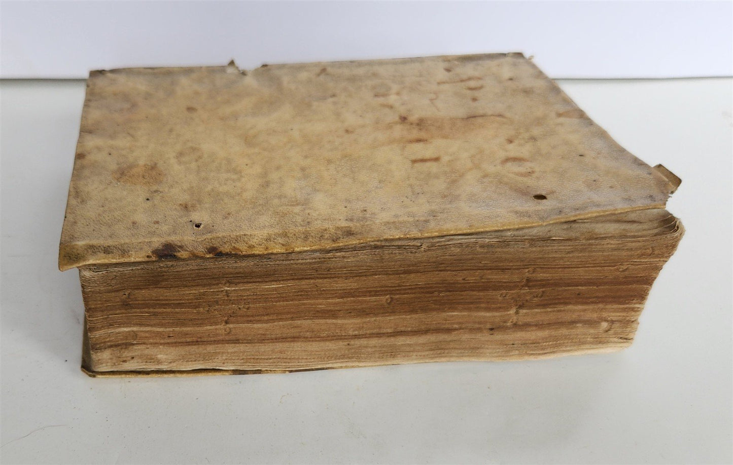 1555 BIBLE COMMENTARY by Dionysius Carthusianus antique VELLUM BINDING 16th CEN.