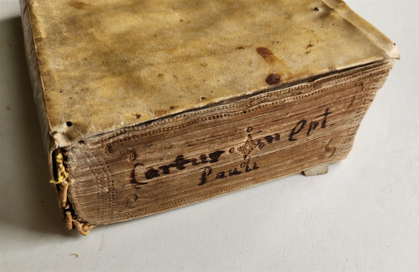 1555 BIBLE COMMENTARY by Dionysius Carthusianus antique VELLUM BINDING 16th CEN.