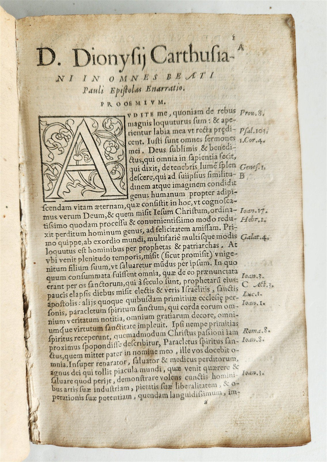 1555 BIBLE COMMENTARY by Dionysius Carthusianus antique VELLUM BINDING 16th CEN.