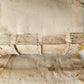1555 BIBLE COMMENTARY by Dionysius Carthusianus antique VELLUM BINDING 16th CEN.