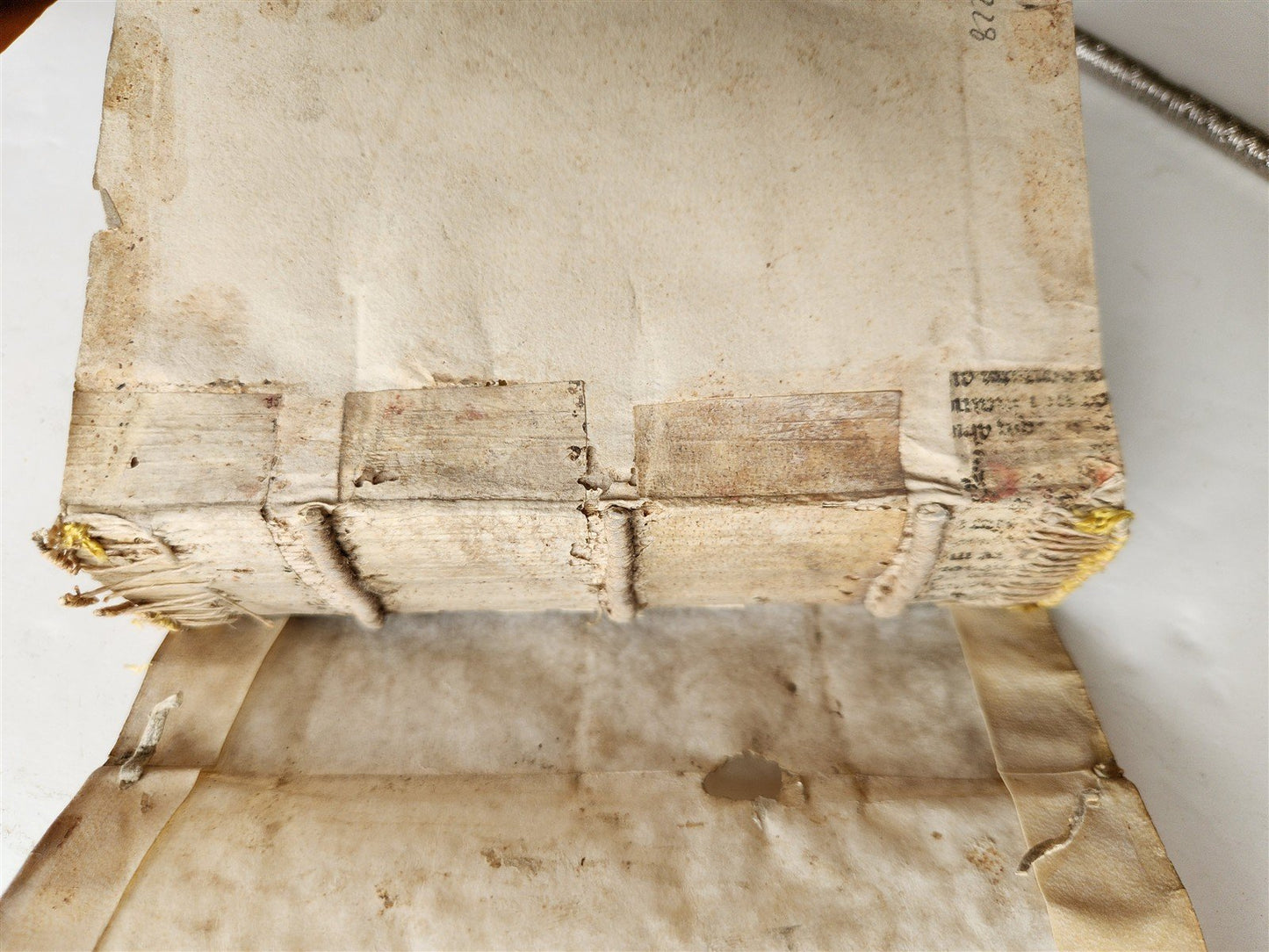 1555 BIBLE COMMENTARY by Dionysius Carthusianus antique VELLUM BINDING 16th CEN.