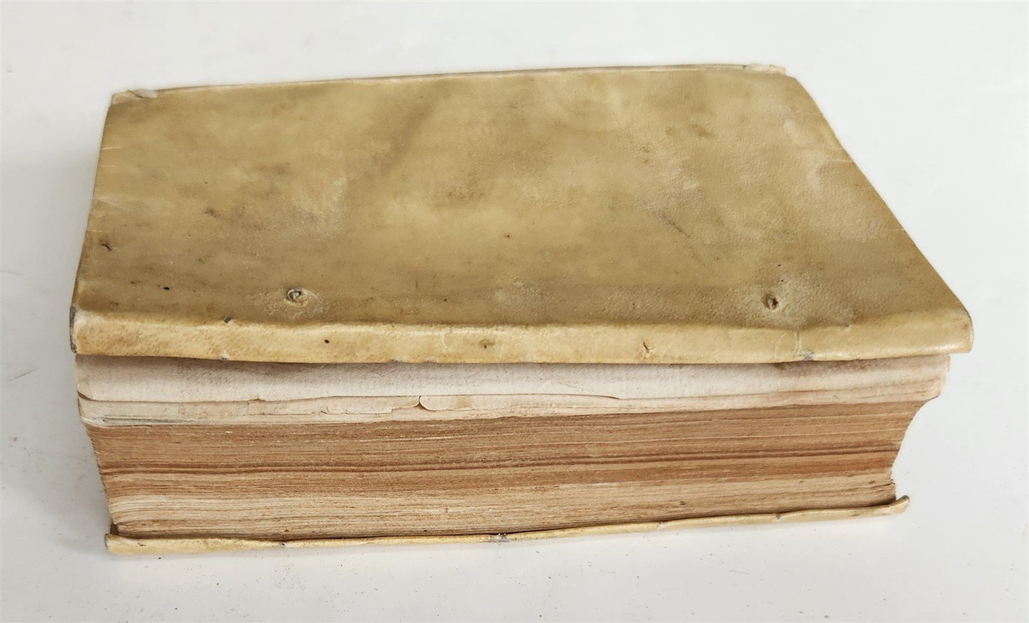 1551 COMMENTARIES to Peter Lombard's Sentences by Spinaeus antique vellum 16th C