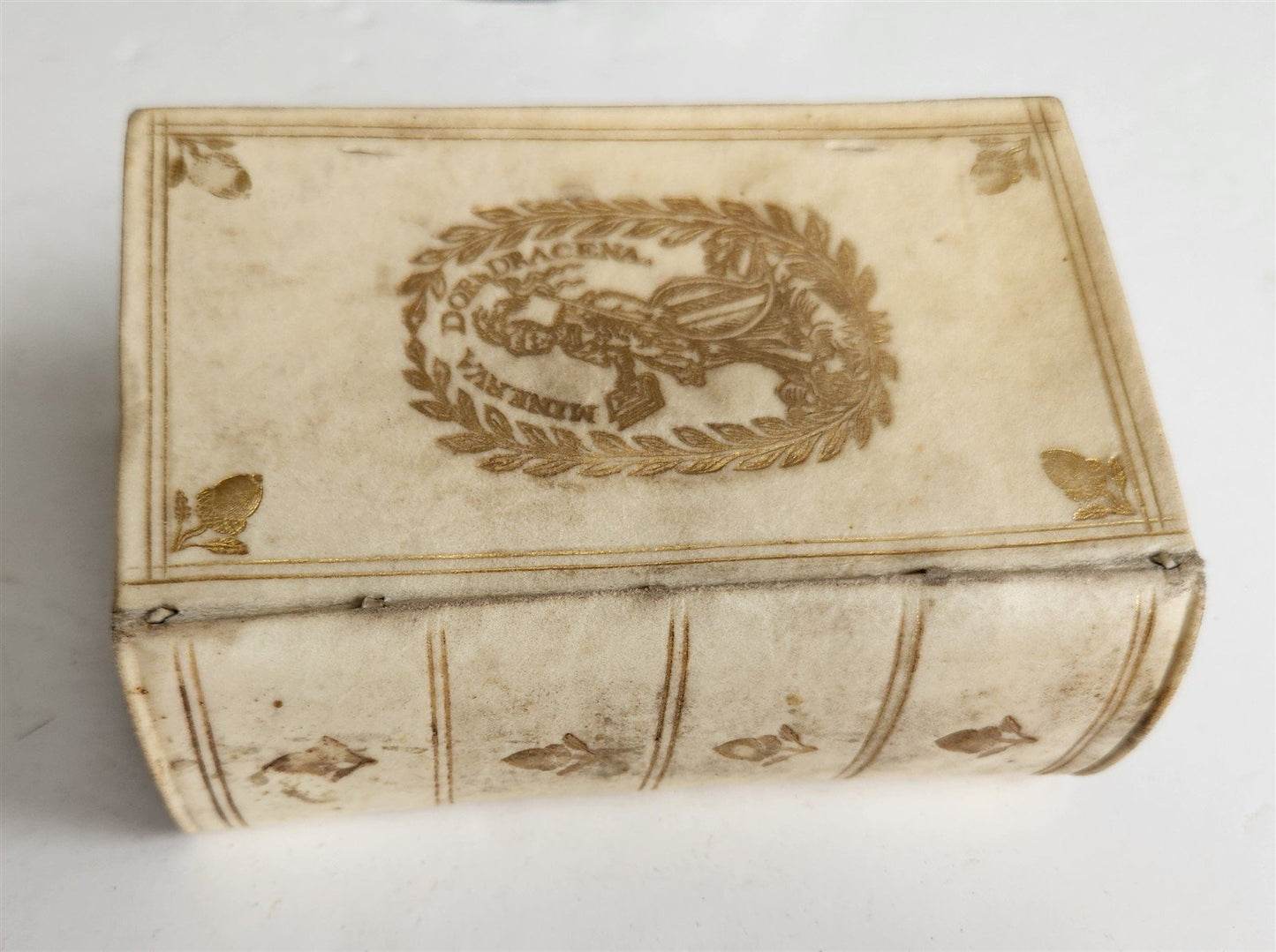 1713 ROMAN ANTIQUITIES antique ILLUSTRATED decorative vellum binding