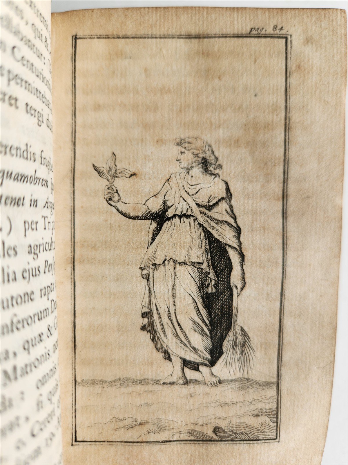 1713 ROMAN ANTIQUITIES antique ILLUSTRATED decorative vellum binding