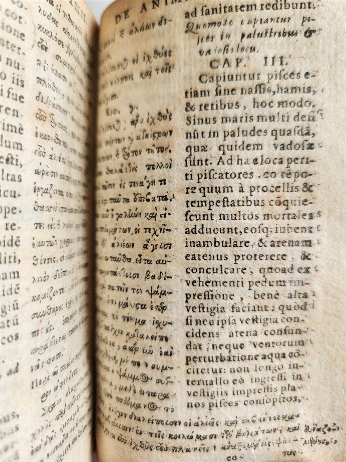 1616 CHARACTERISTICS of ANIMALS antique De Animalium natura by Claudius Aelianus
