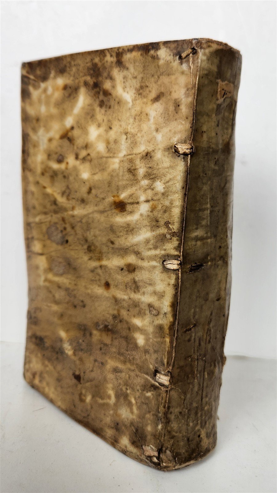 1578 POETRY Sentences of Theognis Megarensis antique vellum bound 16th CENTURY