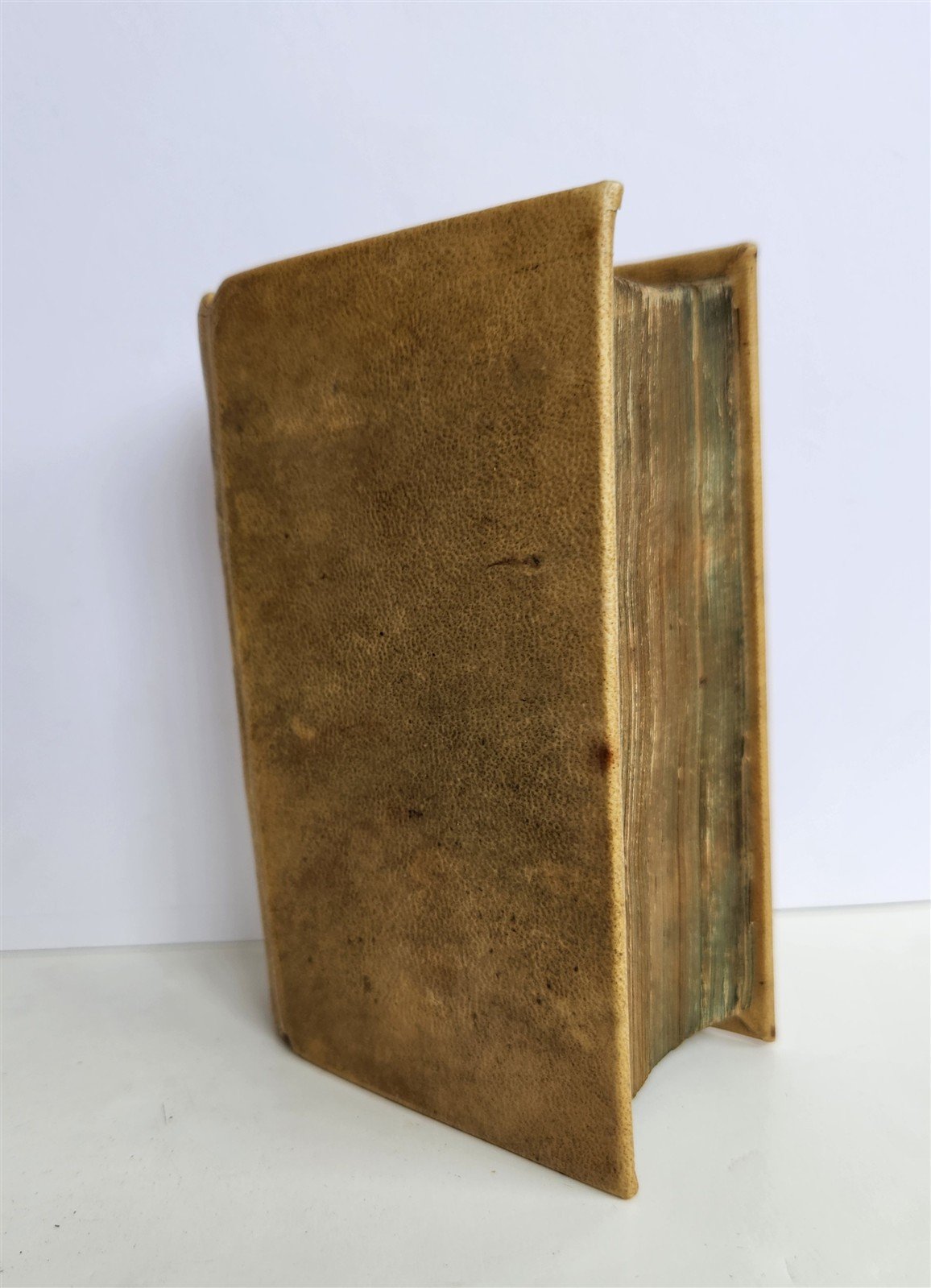 1641 WORKS by ERASMUS in LATIN pocket edition ANTIQUE vellum bound