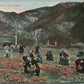 CALIFORNIA POPPY FIELDS ANTIQUE POSTCARD