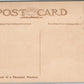 PASADENA CA BUSCH'S WINTER RESIDENCE on ORANGE GROVE AVE. ANTIQUE POSTCARD