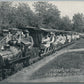 BENTON HARBOR MI HOUSE OF DAVID PARK MINIATURE RAILROAD ANTIQUE POSTCARD