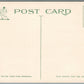 YPSILANTI MI HAMILTON STREET ANTIQUE POSTCARD
