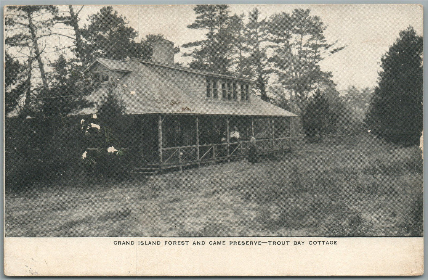 GRAND ISLAND MI FOREST & GAME PRESERVE ANTIQUE POSTCARD