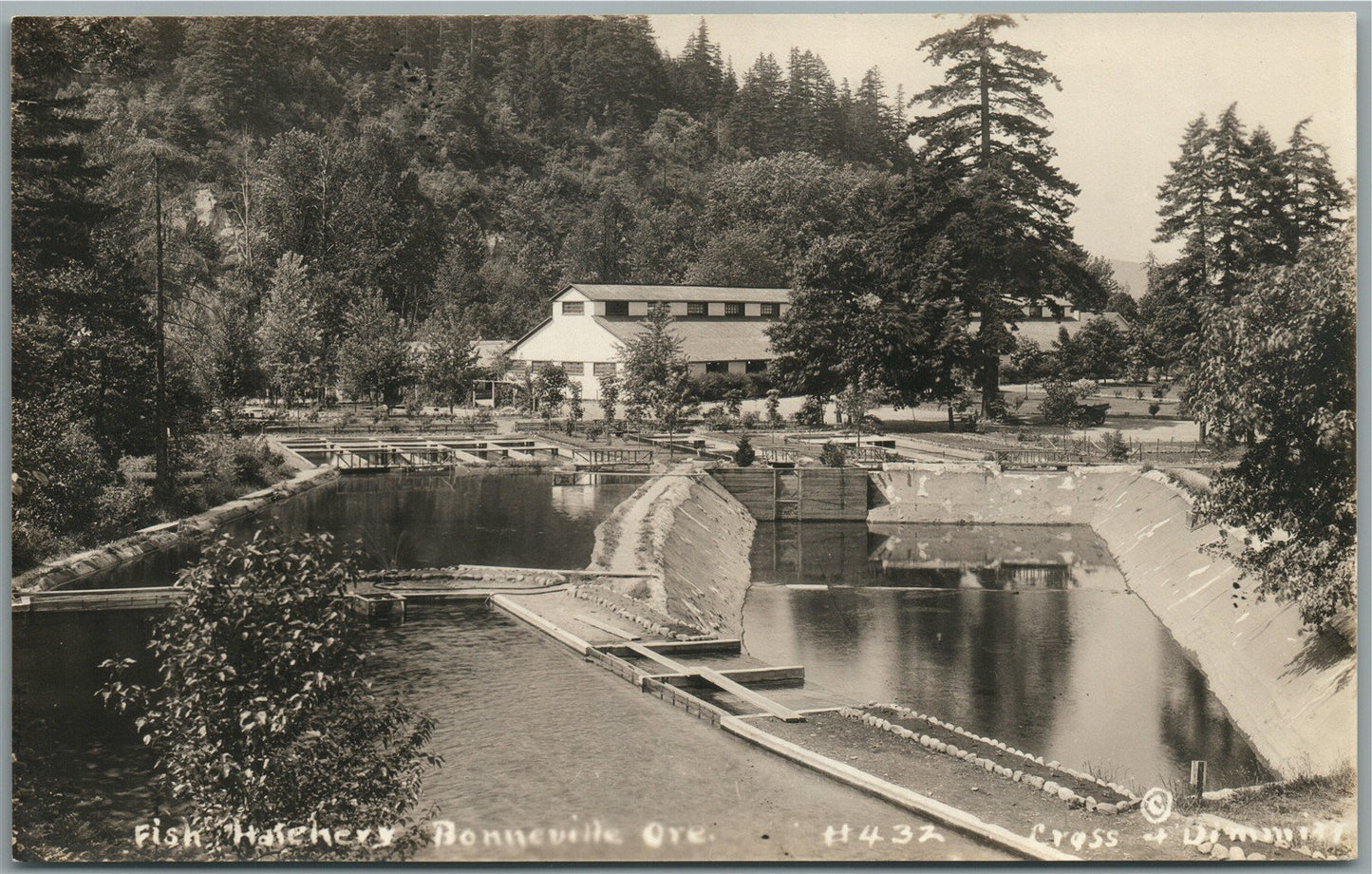 BONNEVILLE MI FISH HATCHERY ANTIQUE REAL PHOTO POSTCARD RPPC