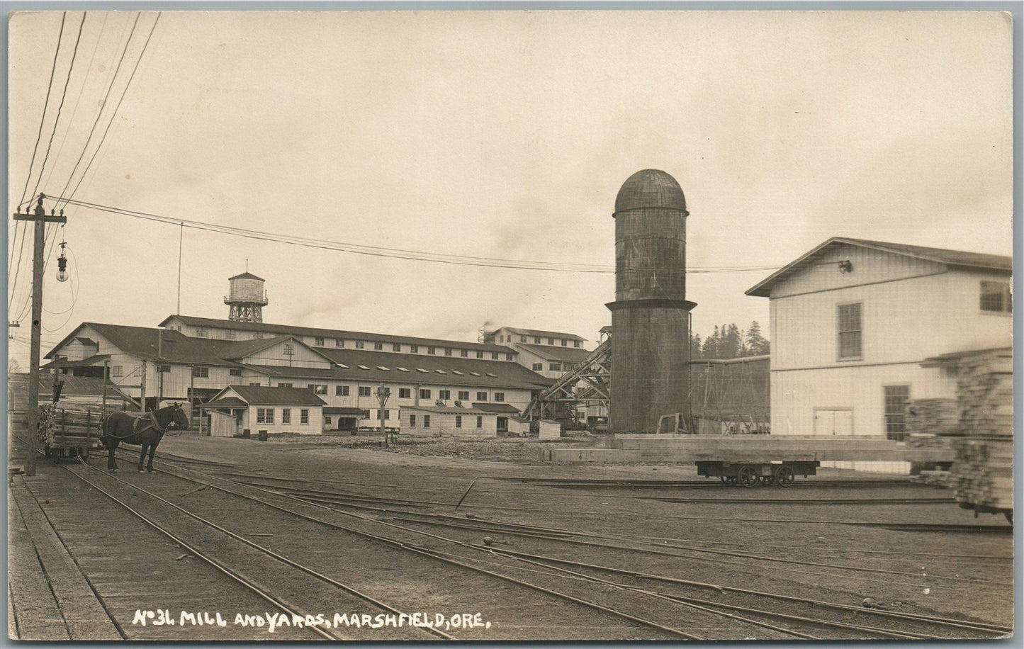 MARSHFIELD OR No. 31 MILL & RAILROAD YARDS ANTIQUE REAL PHOTO POSTCARD RPPC