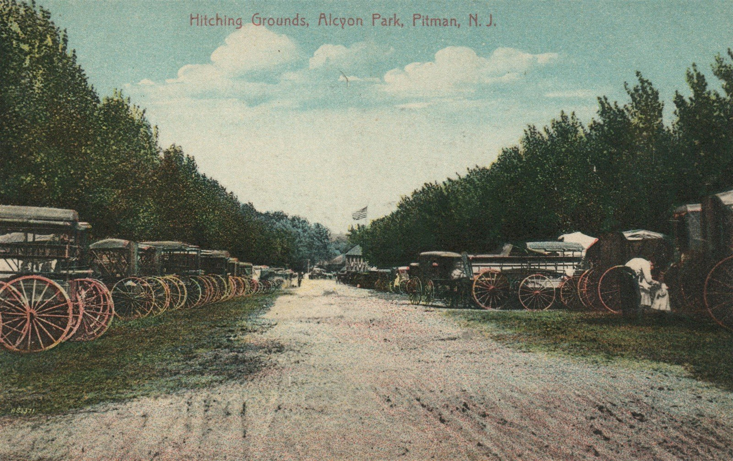 PITMAN NJ HITCHING GROUNDS ALCYON PARK ANTIQUE POSTCARD