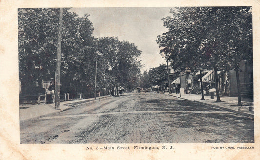 FLEMINGTON NJ MAIN STREET ANTIQUE POSTCARD