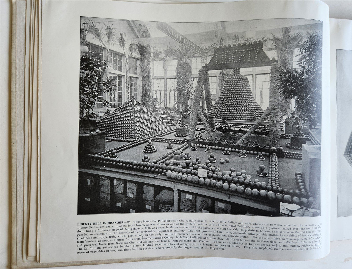 1895 GOVERNMENT COLLECTION VIEWS of WORLD'S COLUMBIAN EXPOSITION antique FOLIO