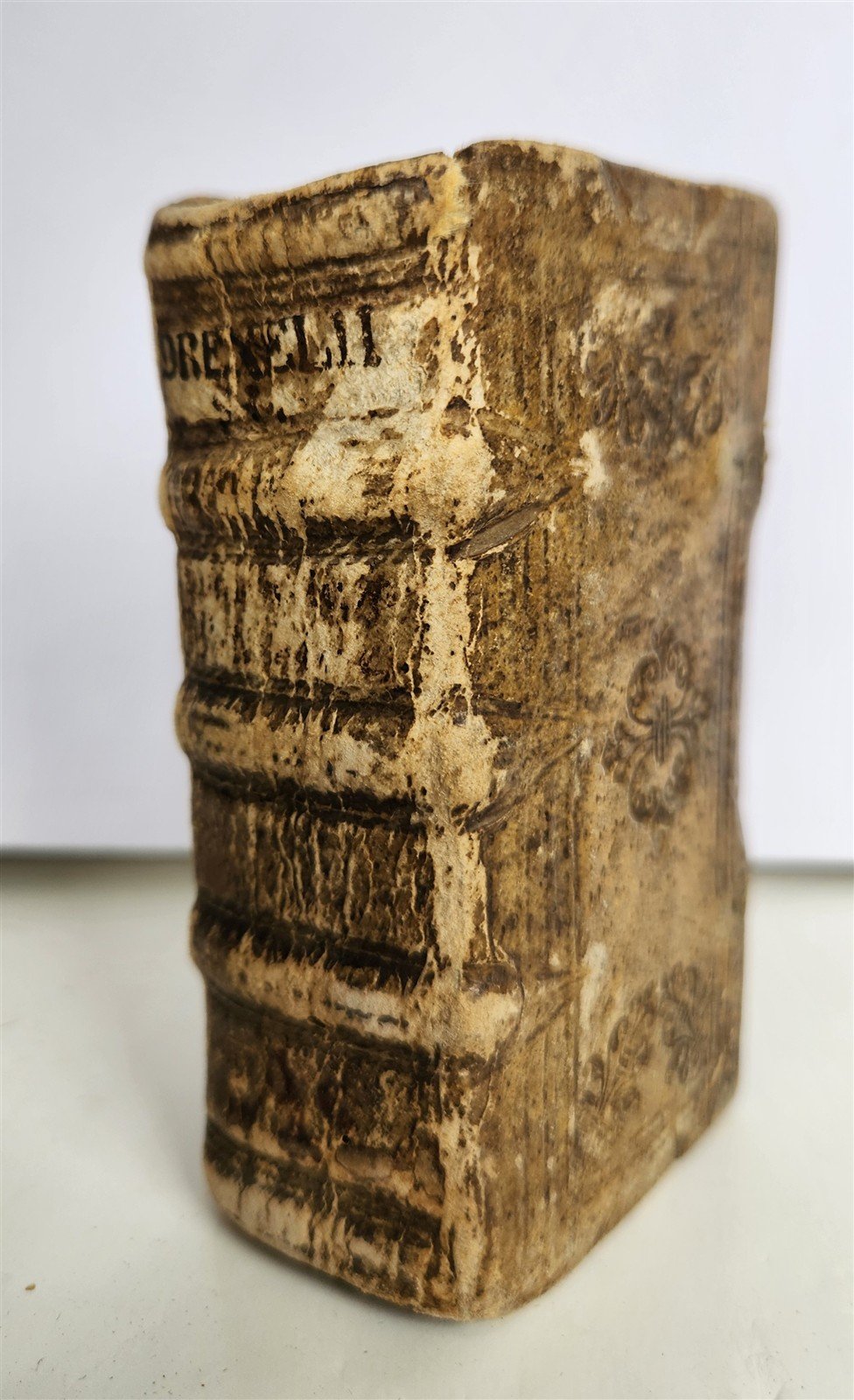 1630 Gymnasium patientiae by Jeremias Drexel ILLUSTRATED antique VELLUM BINDING