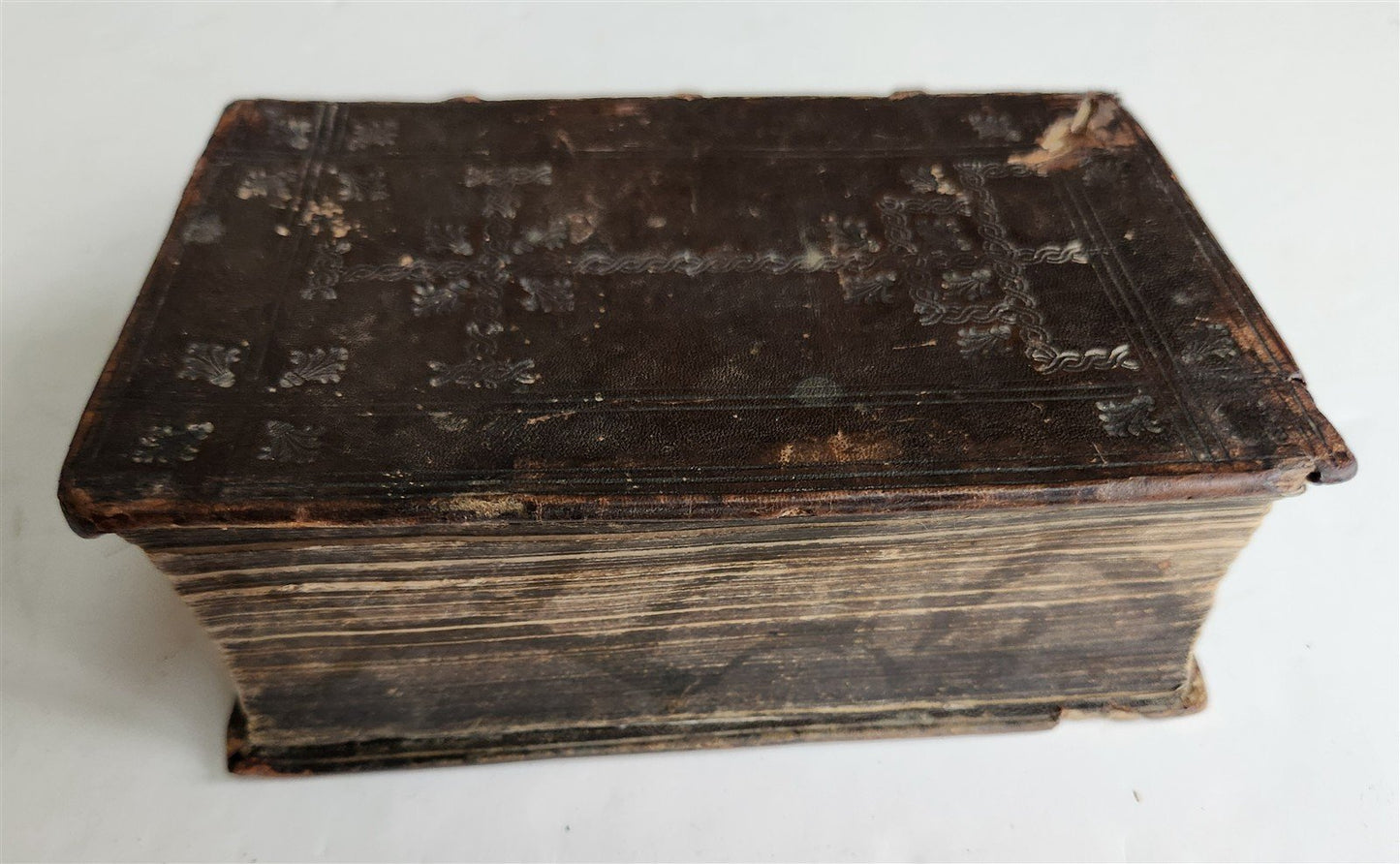 1536 BIBLE COMMENTARIES of THEOPHYLACTUS on New Testament ANTIQUE 16th CENTURY