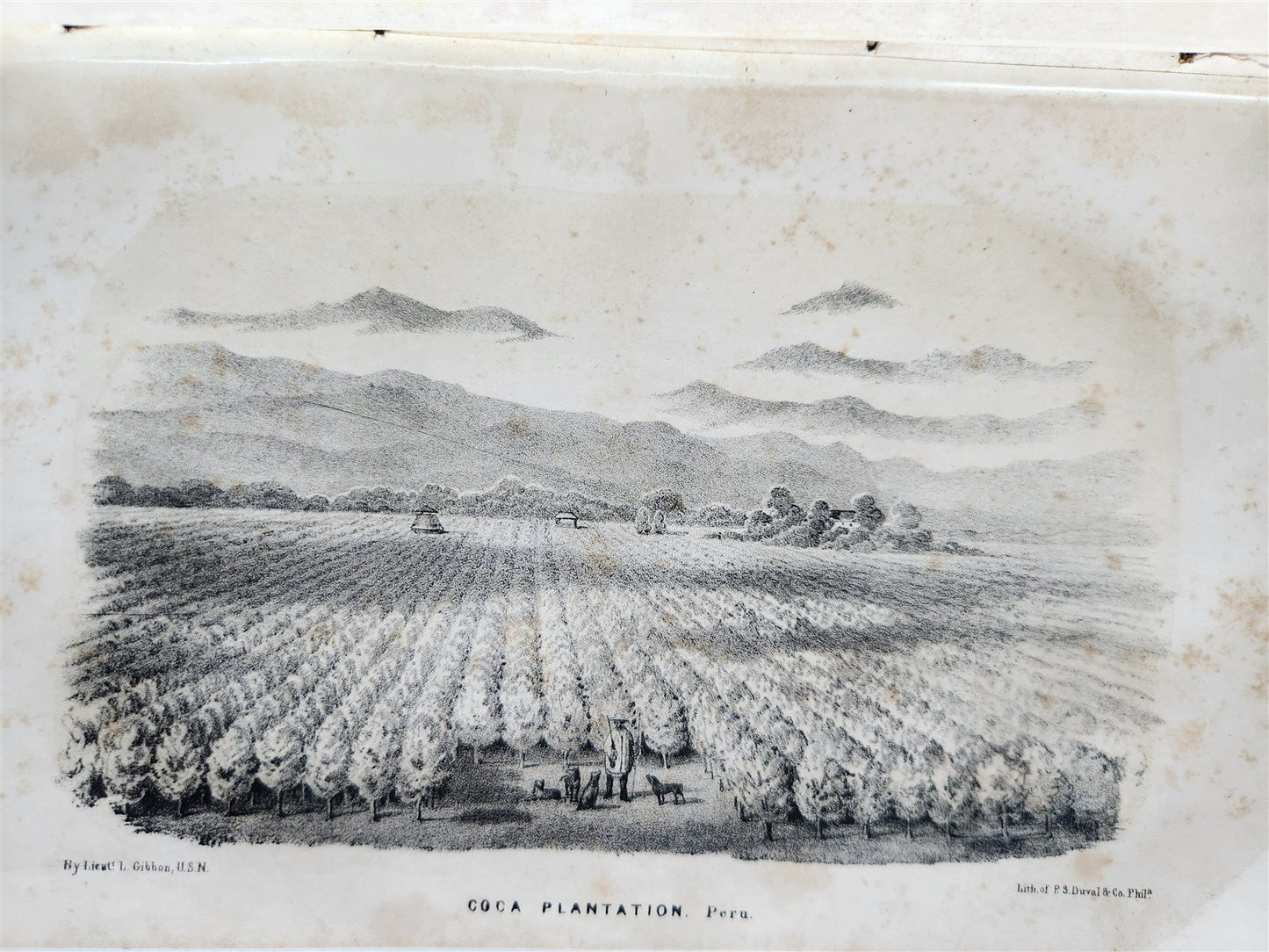 1854 Exploration of Amazon Valley by Lieut Herndon ANTIQUE 2 volumes ILLUSTRATED