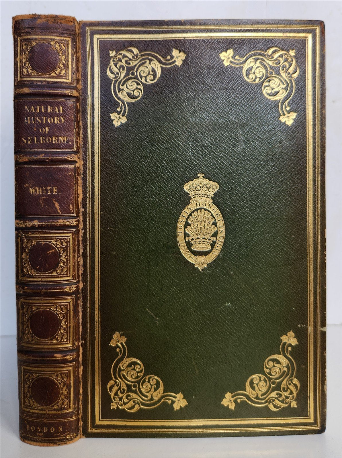 1870s NATURAL HISTORY AND ANTIQUITIES of SELBORNE w/ ARMORIAL BINDING ANTIQUE