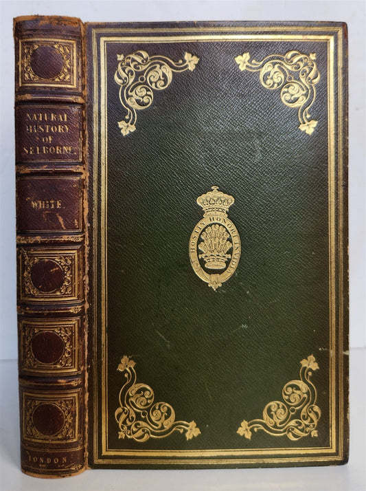 1870s NATURAL HISTORY AND ANTIQUITIES of SELBORNE w/ ARMORIAL BINDING ANTIQUE
