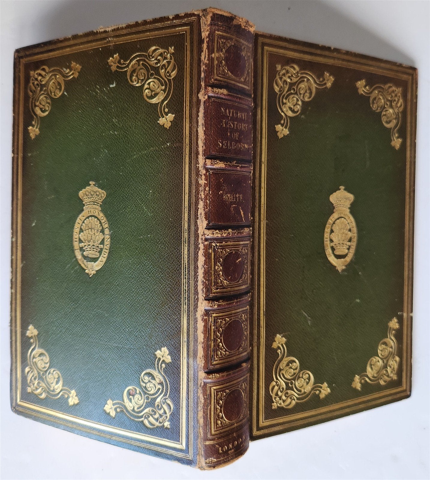 1870s NATURAL HISTORY AND ANTIQUITIES of SELBORNE w/ ARMORIAL BINDING ANTIQUE