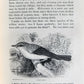 1870s NATURAL HISTORY AND ANTIQUITIES of SELBORNE w/ ARMORIAL BINDING ANTIQUE