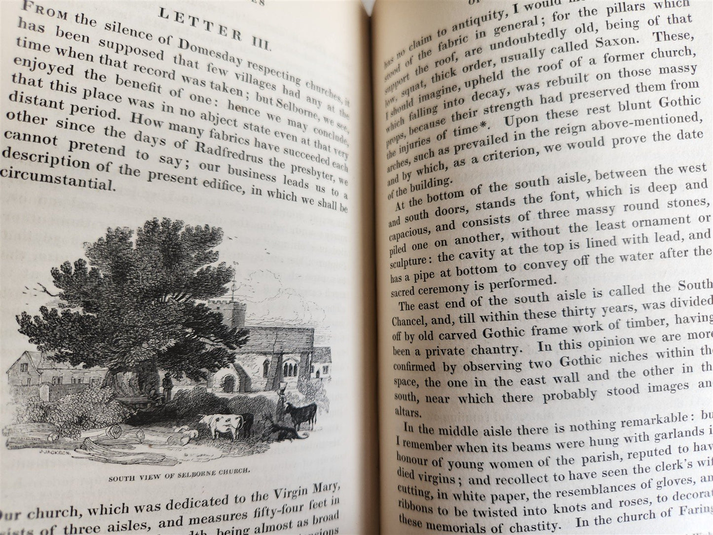 1870s NATURAL HISTORY AND ANTIQUITIES of SELBORNE w/ ARMORIAL BINDING ANTIQUE