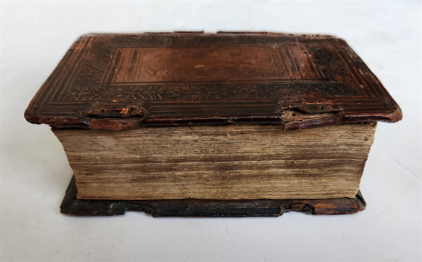 1533 POST-INCUNABULA BIBLE in LATIN antique ORIGINAL 16th CENTURY BINDING