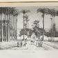 1867 FRENCH GUYANA VOYAGE ILUSTRATED antique FOLIO