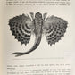 1867 FRENCH GUYANA VOYAGE ILUSTRATED antique FOLIO