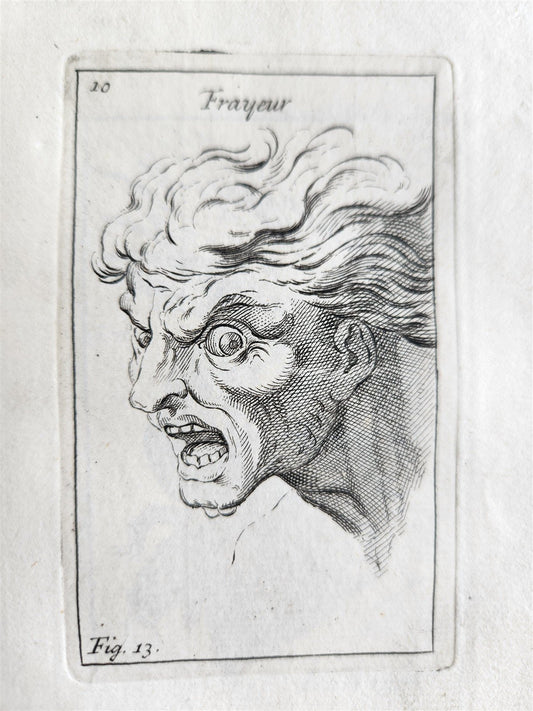 1703 ARTIST'S MANUAL by LE BRUN in DUTCH antique ILLUSTRATED PHYSIOGNOMY