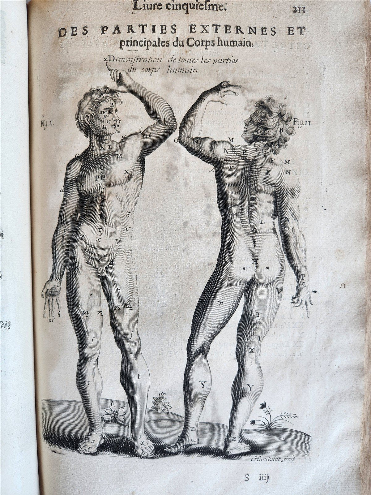 1646 ANATOMY ILLUSTRATED FOLIO antique MEDICAL Oeuvres de Me André dv Lavrens