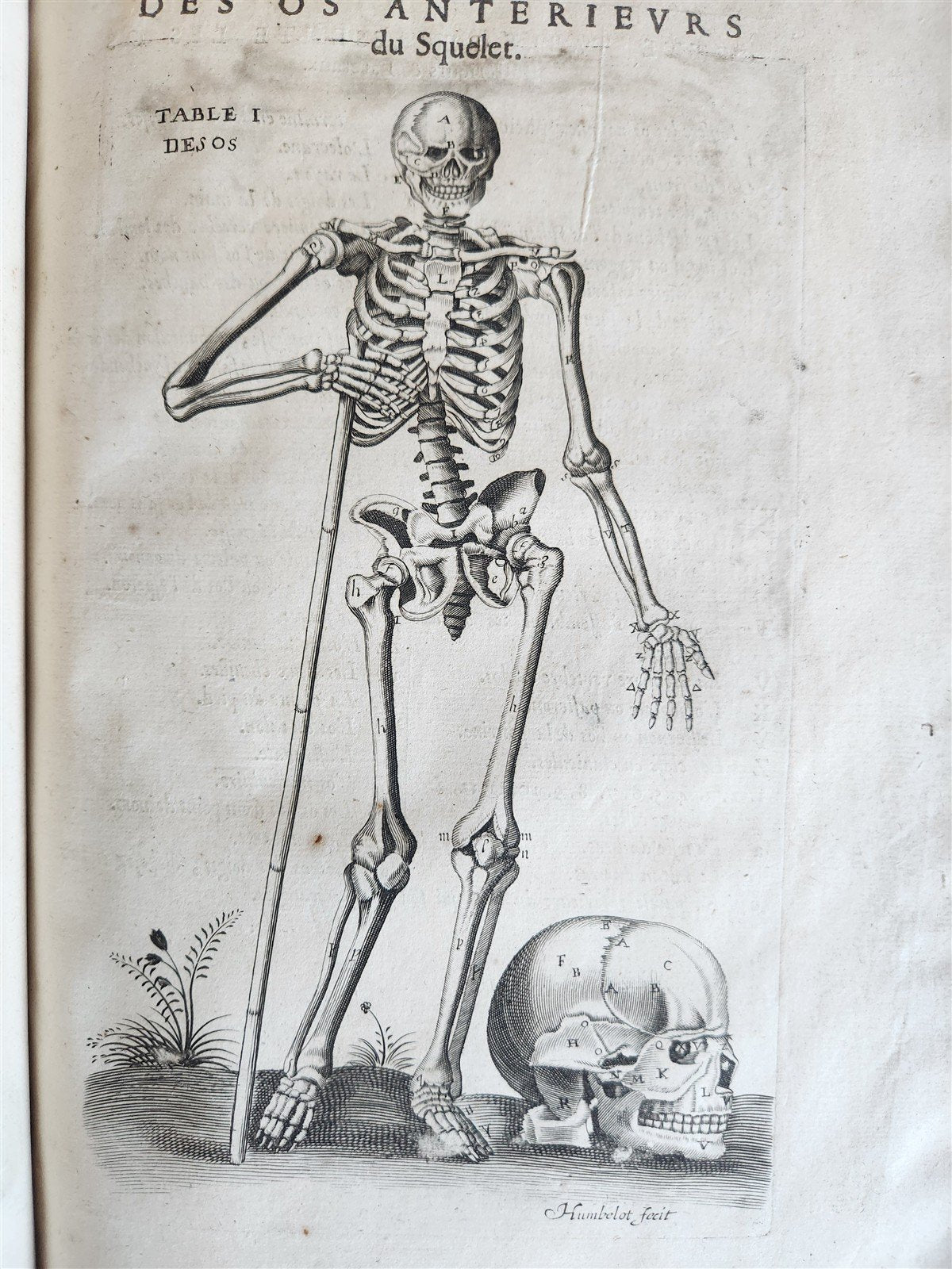 1646 ANATOMY ILLUSTRATED FOLIO antique MEDICAL Oeuvres de Me André dv Lavrens