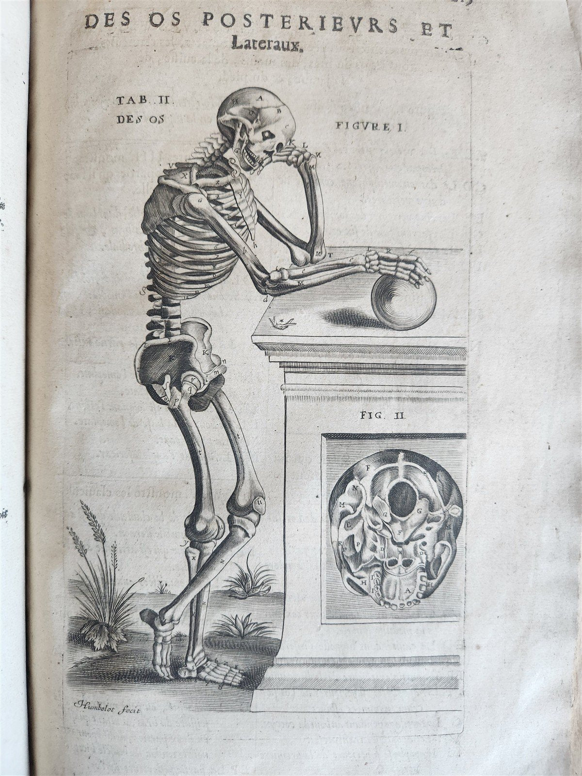 1646 ANATOMY ILLUSTRATED FOLIO antique MEDICAL Oeuvres de Me André dv Lavrens