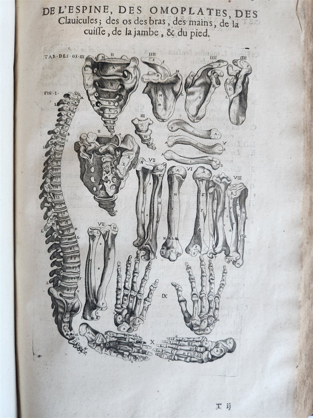 1646 ANATOMY ILLUSTRATED FOLIO antique MEDICAL Oeuvres de Me André dv Lavrens