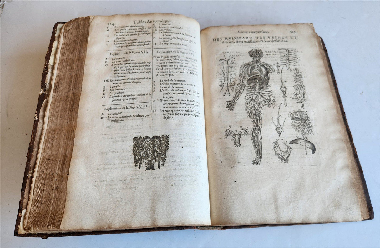 1646 ANATOMY ILLUSTRATED FOLIO antique MEDICAL Oeuvres de Me André dv Lavrens