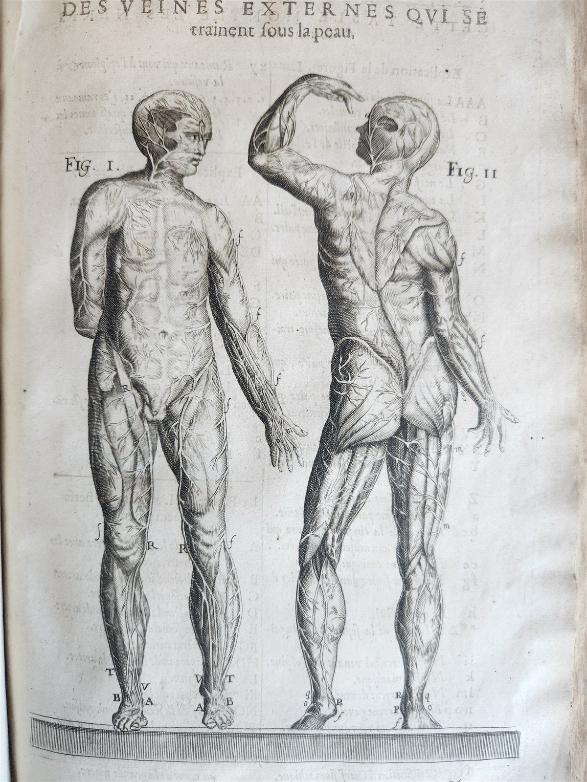 1646 ANATOMY ILLUSTRATED FOLIO antique MEDICAL Oeuvres de Me André dv Lavrens