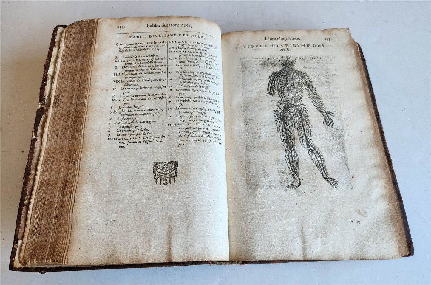 1646 ANATOMY ILLUSTRATED FOLIO antique MEDICAL Oeuvres de Me André dv Lavrens
