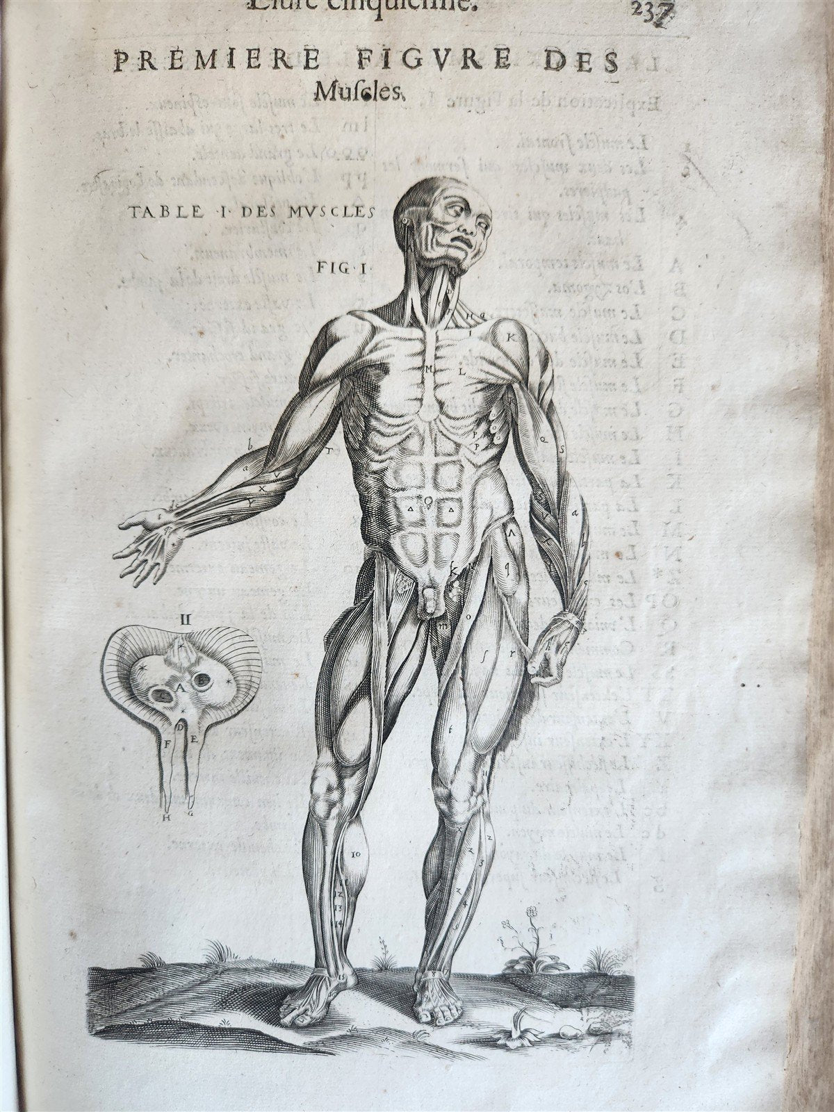1646 ANATOMY ILLUSTRATED FOLIO antique MEDICAL Oeuvres de Me André dv Lavrens