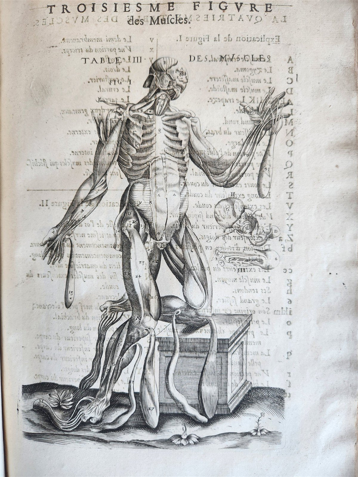 1646 ANATOMY ILLUSTRATED FOLIO antique MEDICAL Oeuvres de Me André dv Lavrens
