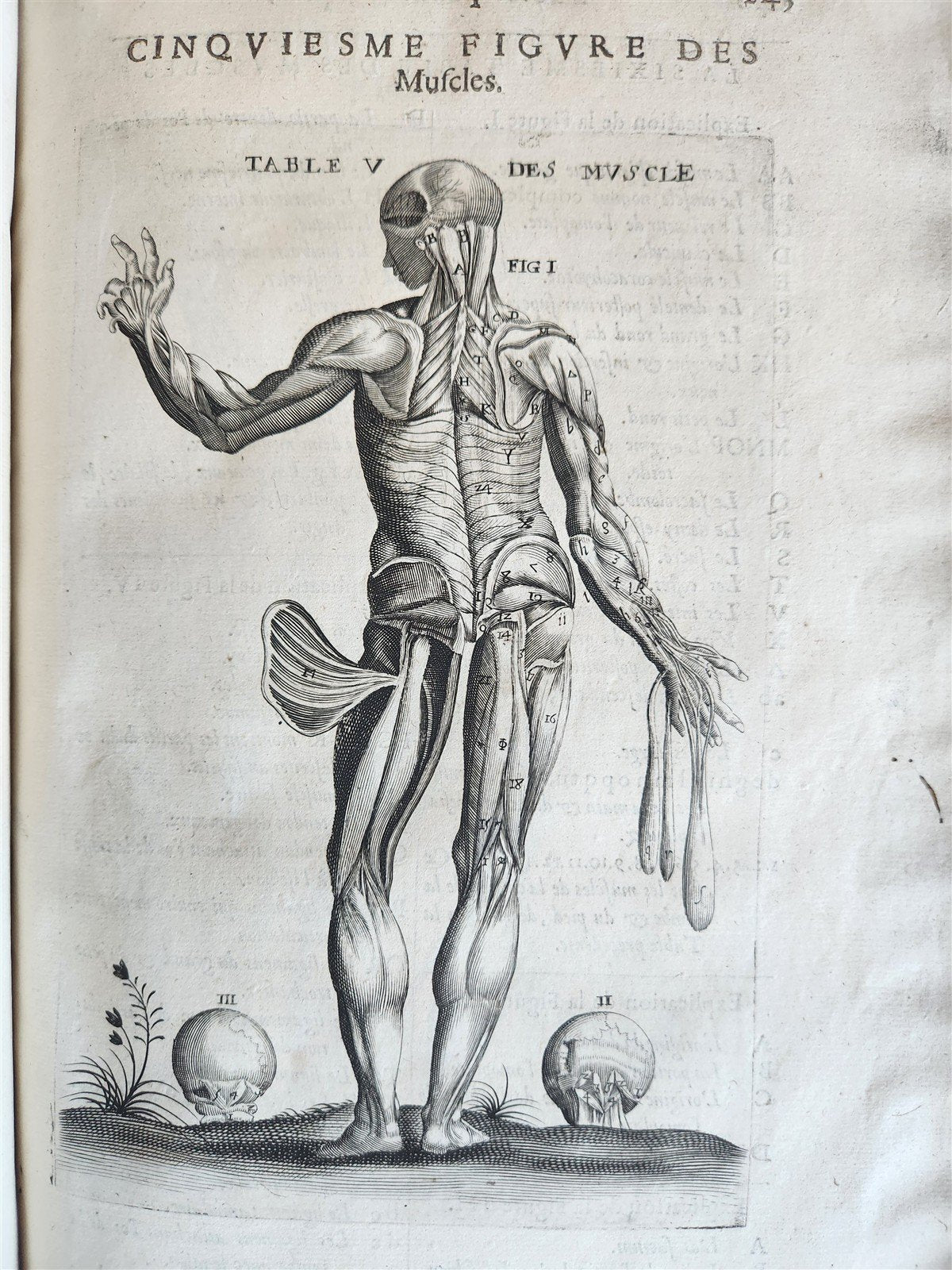 1646 ANATOMY ILLUSTRATED FOLIO antique MEDICAL Oeuvres de Me André dv Lavrens
