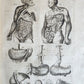 1646 ANATOMY ILLUSTRATED FOLIO antique MEDICAL Oeuvres de Me André dv Lavrens