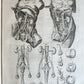 1646 ANATOMY ILLUSTRATED FOLIO antique MEDICAL Oeuvres de Me André dv Lavrens