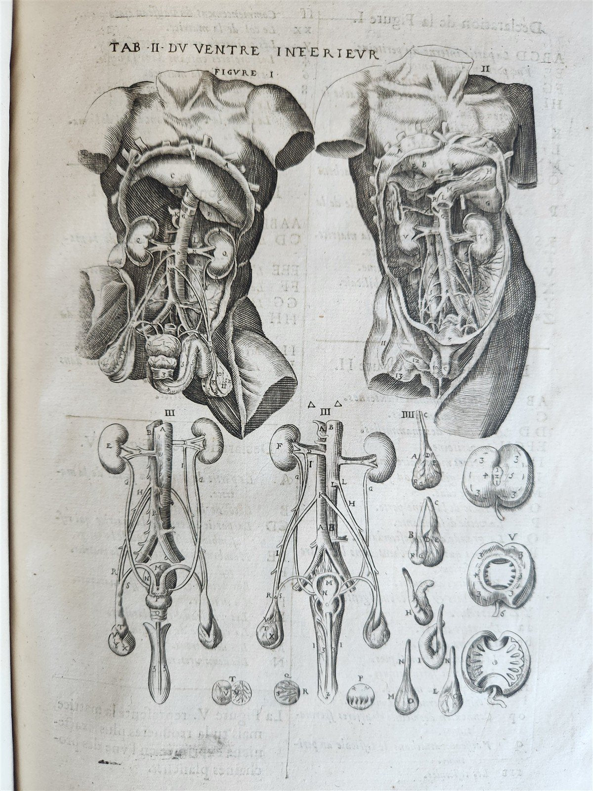 1646 ANATOMY ILLUSTRATED FOLIO antique MEDICAL Oeuvres de Me André dv Lavrens