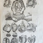 1646 ANATOMY ILLUSTRATED FOLIO antique MEDICAL Oeuvres de Me André dv Lavrens