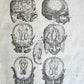 1646 ANATOMY ILLUSTRATED FOLIO antique MEDICAL Oeuvres de Me André dv Lavrens